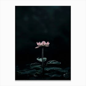 Lotus Flower 43 Canvas Print