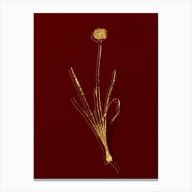 Vintage Mouse Garlic Botanical in Gold on Red n.0430 Canvas Print