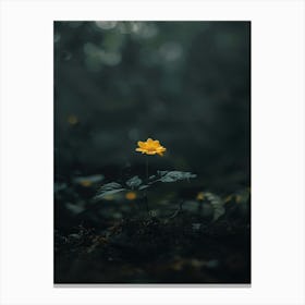 Single Yellow Flower In The Forest Canvas Print