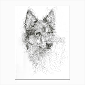 Furry Wire Haired Dog Line Sketch 3 Canvas Print