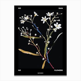 No Rain No Flowers Poster Babys Breath 1 Canvas Print