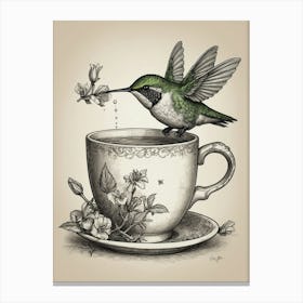 Hummingbird On A Teacup 1 Canvas Print