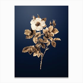 Gold Botanical Twin Flowered White Rose on Midnight Navy n.4669 Canvas Print