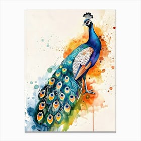 Peacock Watercolor Painting Canvas Print