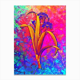 Iris Fimbriata Botanical in Acid Neon Pink Green and Blue Canvas Print