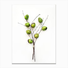 Green Eggs On A Branch Canvas Print