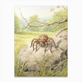 Storybook Animal Watercolour Spider Canvas Print