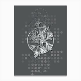 Vintage Aronia Thorn Flower Botanical with Line Motif and Dot Pattern in Ghost Gray n.0011 Canvas Print