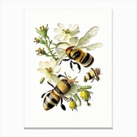 Forager Bees 1 Vintage Canvas Print