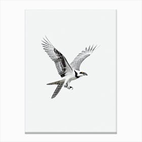 Osprey B&W Pencil Drawing 5 Bird Canvas Print