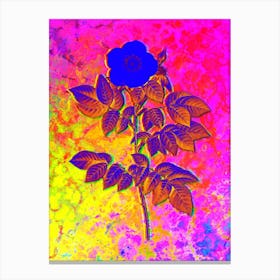 Leschenault's Rose Botanical in Acid Neon Pink Green and Blue n.0058 Canvas Print