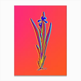 Neon Yellow Banded Iris Botanical in Hot Pink and Electric Blue Canvas Print