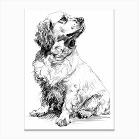 Clumber Spaniel Dog Line Sketch 1 Canvas Print