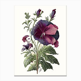 Wild Petunia Wildflower Vintage Botanical 2 Canvas Print