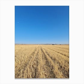 Aerial View Of A Wheat Field Canvas Print