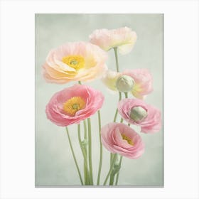 Ranunculus Flowers Acrylic Painting In Pastel Colours 1 Canvas Print