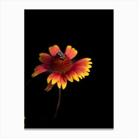 Bee On A Flower Canvas Print