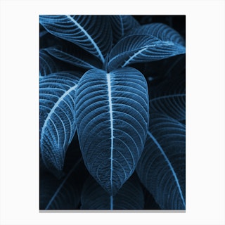 Leaf Me Alone I Canvas Print