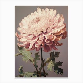 Floral Illustration Chrysanthemum 2 Canvas Print