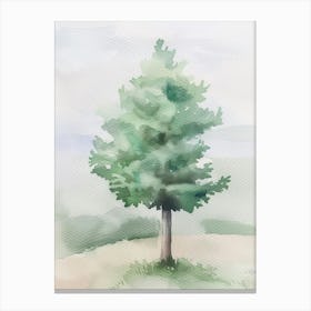 Juniper Tree Atmospheric Watercolour Painting 1 Canvas Print