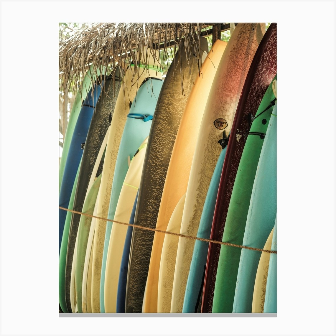 Ceylone Sliders Canvas Print by Shot by Clint