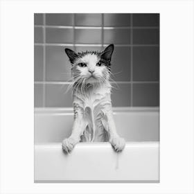 Cat In The Bath 2 Canvas Print