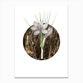 Vintage Autumn Crocus Botanical in Gilded Marble on Clean White Canvas Print