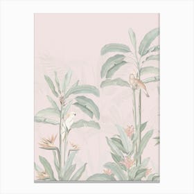 Vintage Tropical Jungle Birds Pastel Pink Canvas Print