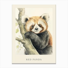 Beatrix Potter Inspired  Animal Watercolour Red Panda 6 Canvas Print