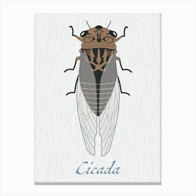 Cicada Bug Insect Australia Beetle 8 Leinwandbild