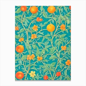 Blood Orange 1 Vintage Botanical Fruit Canvas Print