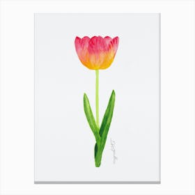 Tulip4 Canvas Print