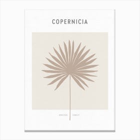 Boho Leaves 1 Copernicia Canvas Print