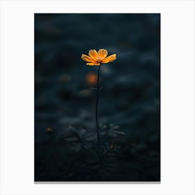 Single Flower In Water 1 Canvas Print