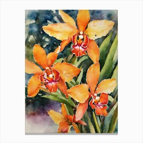 Epidendrum Orchids Water Colour 1 Canvas Print