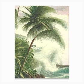 Crashing Waves Landscapes Waterscape Vintage Illustration 2 Canvas Print