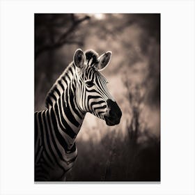 Zebra In The Wild Canvas Print