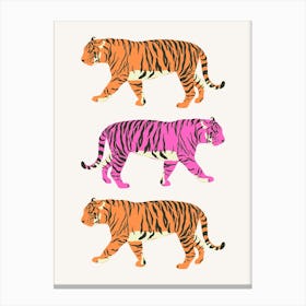 Tiger Trio Canvas Print