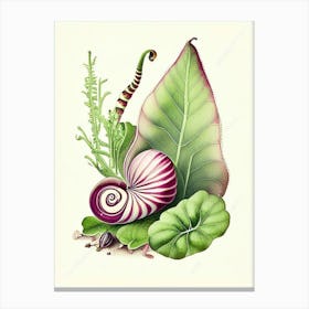 Banded Snail  Botanical Canvas Print