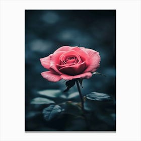 Pink Rose Wallpaper 5 Canvas Print