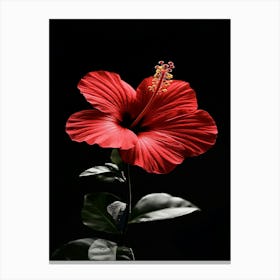 Hibiscus Flower 8 Canvas Print