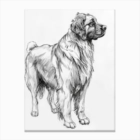 Leonberger Dog Line Sketch 3 Canvas Print