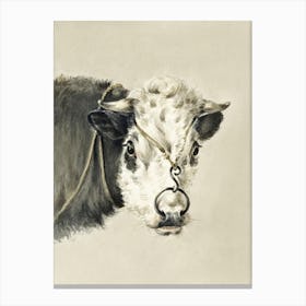 Head Of A Cow, With A Ring Through The Nose, Jean Bernard Canvas Print