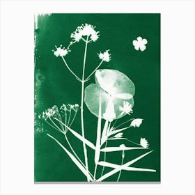 Dark Green Wildflowers Canvas Print