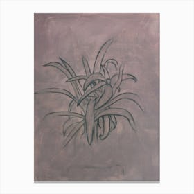Lavender Plant Canvas Print