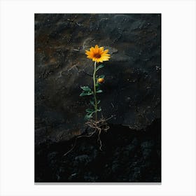 Flower In The Sand 3 Canvas Print