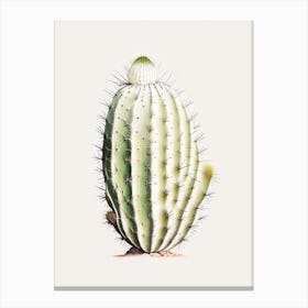 Acanthocalycium Cactus Marker Art 1 Canvas Print