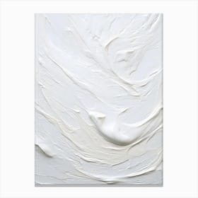 White Paint Texture Canvas Print