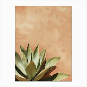 Agave Plant On A Wall Canvas Print