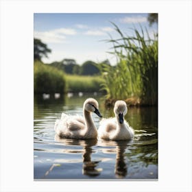 Two Cygnets Embodying Purity And Elegance Floating Serenely On A Tranquil Lake Surrounded By Lush Canvas Print